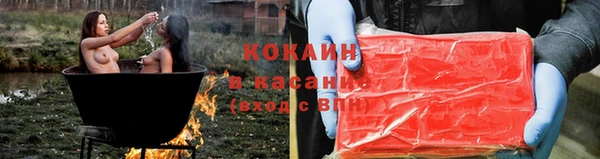 стаф Каменногорск