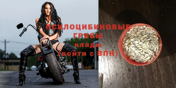 PSILOCYBIN Алексин