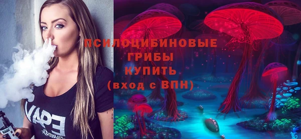 спайс Арсеньев